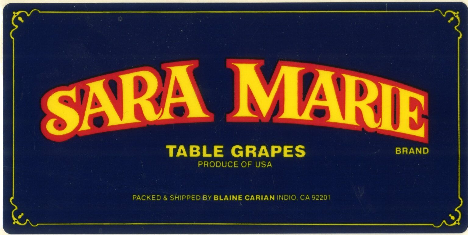 Sara Marie Sara Marie